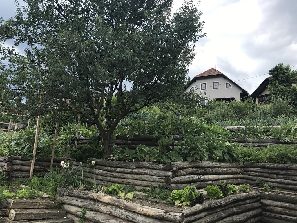 Glamping Laško Exteriör bild